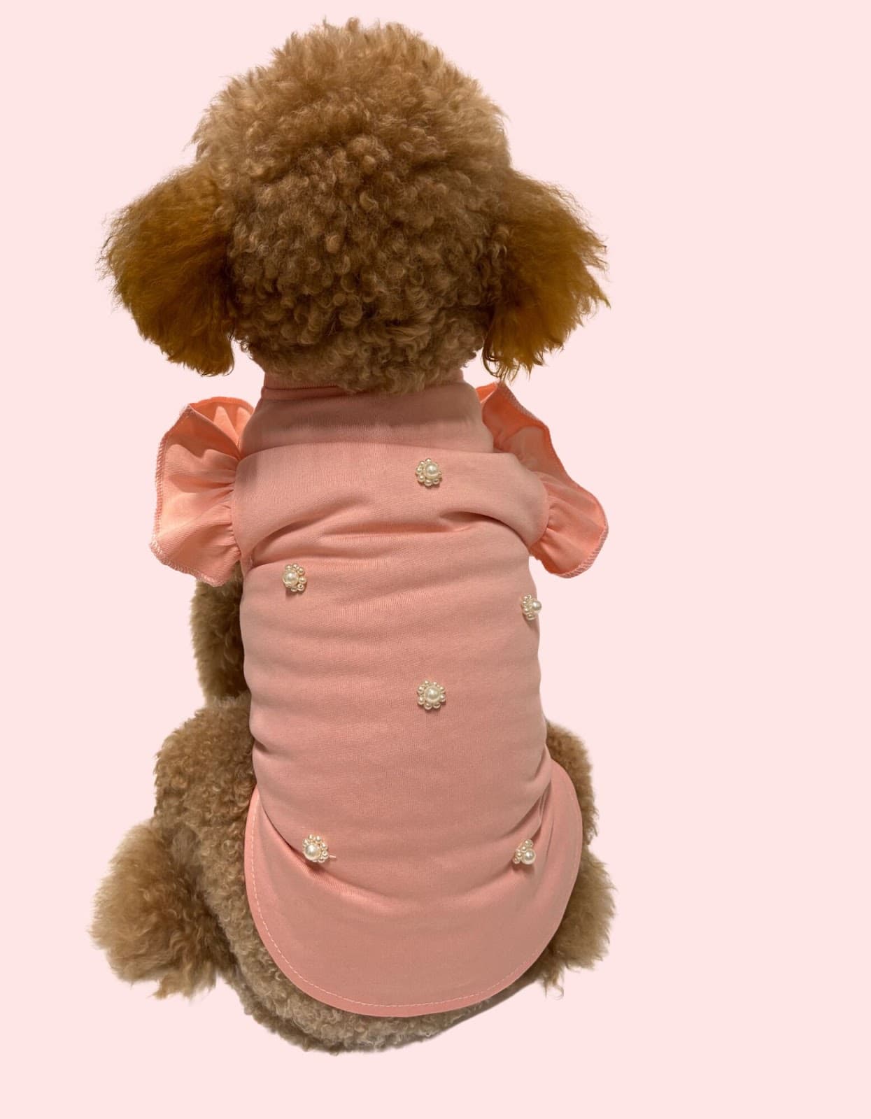 ÁO KIỂU ĐÍNH CƯỜM